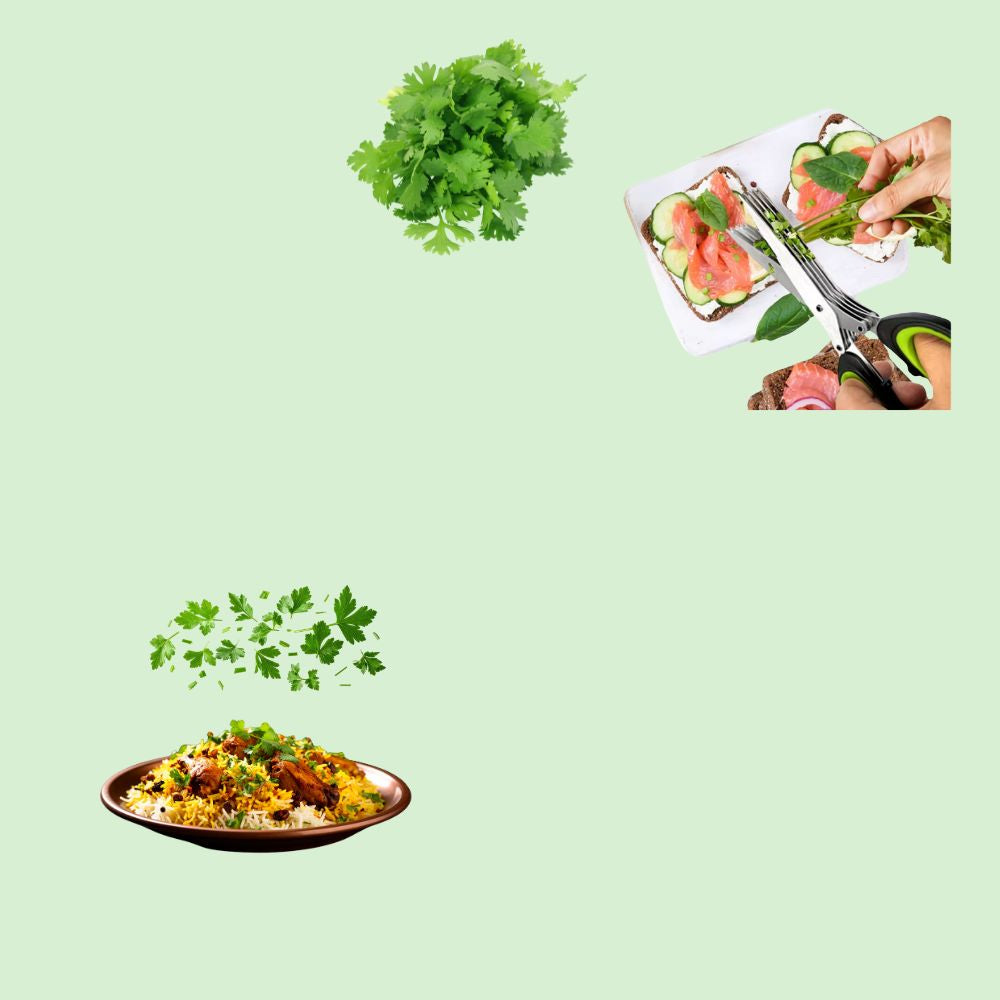 Ciseaux de cuisine 5 lames pour couper rapidement des herbes fraîches et uniformes