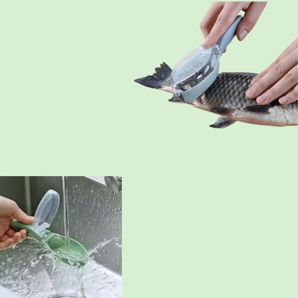 Écailleur de poisson en plastique utilisé pour écailler un poisson à droite et nettoyer facilement à gauche