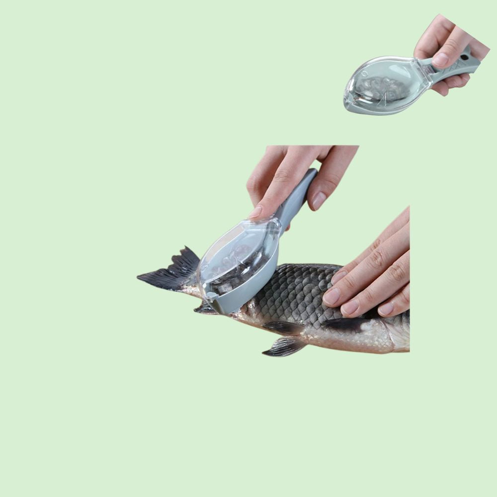 Écailleur de poisson en plastique en train d’être utilisé à gauche et rempli d’écailles à droite.