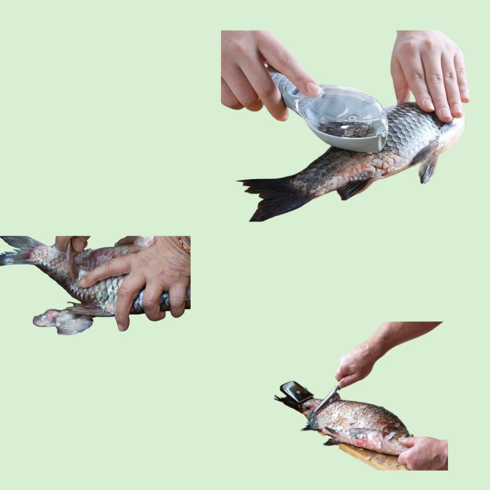 Écailleur de poisson en plastique utilisé pour retirer les écailles facilement, rendant la préparation du poisson simple et propre.