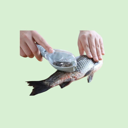 Écailleur de poisson en plastique utilisé pour retirer les écailles d’un poisson.